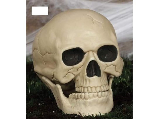 Aster, dekoracje na Halloween, czaszka z ruchomą szczęką Guirca