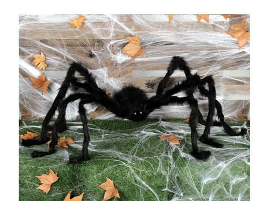 Aster, pająk na Halloween Aster
