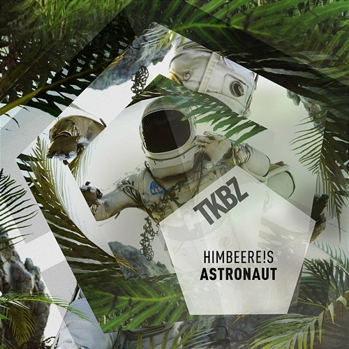 Astronaut HimbeerE!s