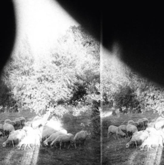 Asunder, Sweet And Other Distress Godspeed You! Black Emperor