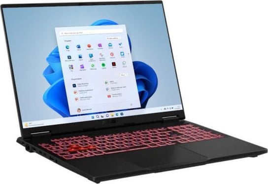 Asus Tuf Gaming A16 Fa608Wi-R7161W Ai 9 Hx 370 16" 2,5K 165Hz 16Gb 1Tb Win11H Rtx4070 Inna marka