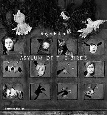 Asylum of the Birds Ballen Roger