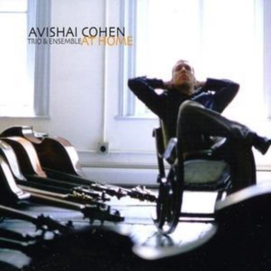 At Home Avishai Cohen Trio