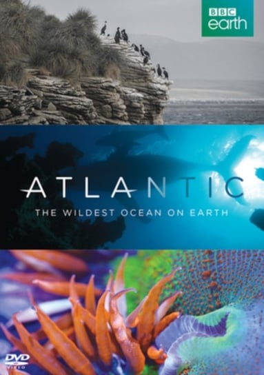 Atlantic - The Wildest Ocean On Earth (brak polskiej wersji językowej) Dazzler