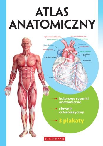 Atlas anatomiczny Opracowanie zbiorowe