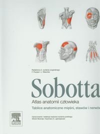 Atlas anatomii człowieka Sobotta. Tablice anatomiczne mięśni, stawów i nerwów Opracowanie zbiorowe