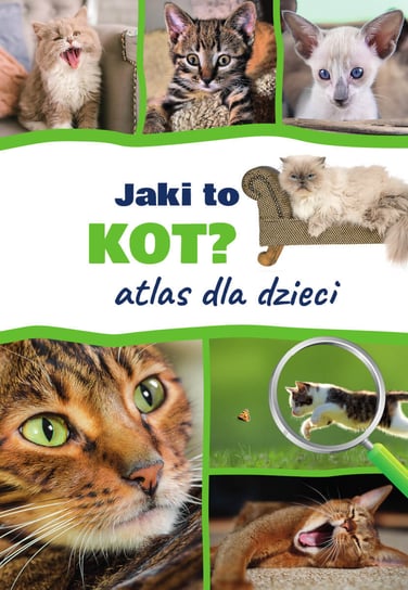 Atlas dla dzieci. Jaki to kot? Tittenbrun-Jazienicka Barbara