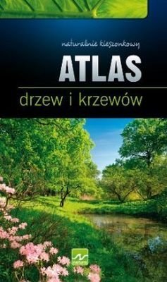 Atlas drzew i krzewów Opracowanie zbiorowe
