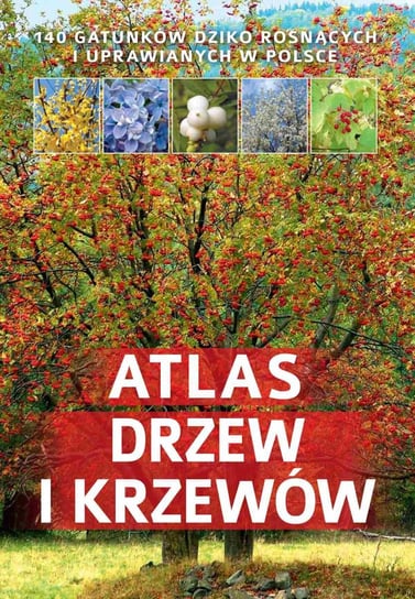 Atlas drzew i krzewów Halarewicz Aleksandra