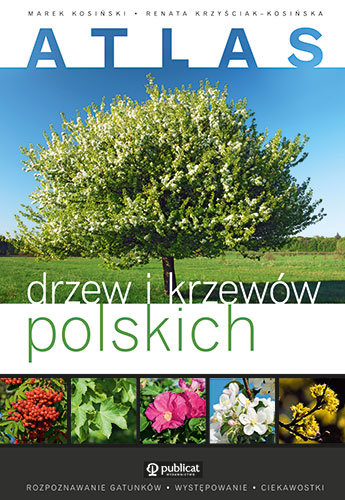 Atlas drzew i krzewów polskich Kosiński Marek, Krzyściak-Kosińska Renata