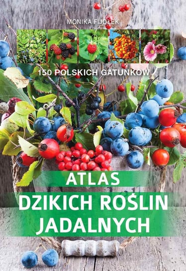 Atlas dzikich roślin jadalnych. 150 polskich gatunków Fijołek Monika