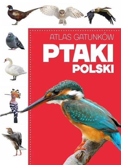 Atlas gatunków. Ptaki Polski Opracowanie zbiorowe