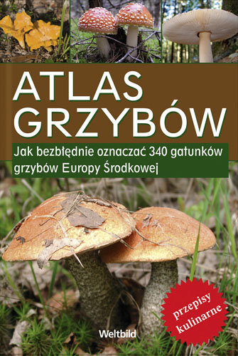 Atlas grzybów Giminder Andreas