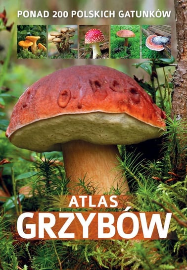 Atlas grzybów - ebook PDF Zarawska Patrycja