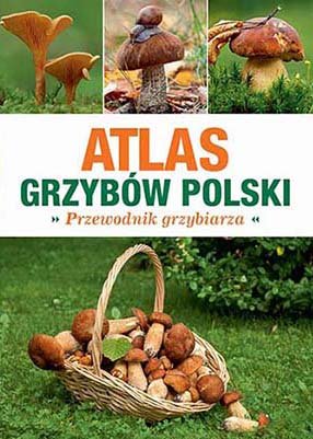 Atlas grzybów Polski. Przewodnik grzybiarza Snowarski Marek