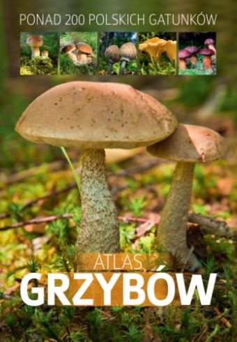 Atlas grzybów. Ponad 200 polskich gatunków Zarawska Patrycja