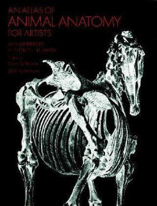 Atlas of Animal Anatomy for Artists Ellenberger W