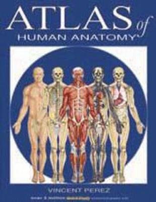 Atlas Of Human Anatomy Perez Vincent
