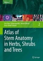 Atlas of Stem Anatomy in Herbs, Shrubs and Trees Schweingruber Fritz Hans, Borner Annett, Schulze Ernst-Detlef