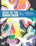 Atlas of the Human Brain Voss Thomas, Paxinos George, Mai Juergen K.