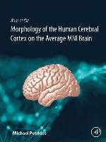 Atlas of the Morphology of the Human Cerebral Cortex on the Average MNI Brain Petrides Michael