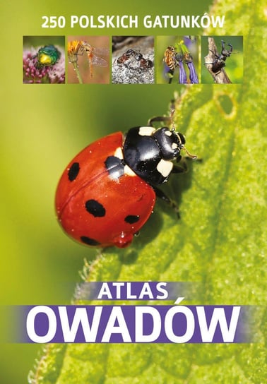 Atlas owadów Twardowska Kamila