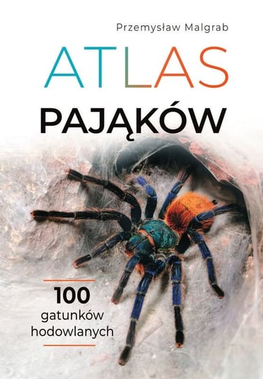 Atlas pająków Przemysław Malgrab