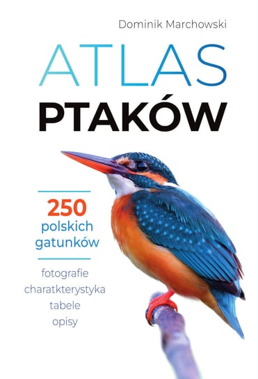 Atlas ptaków Marchowski Dominik