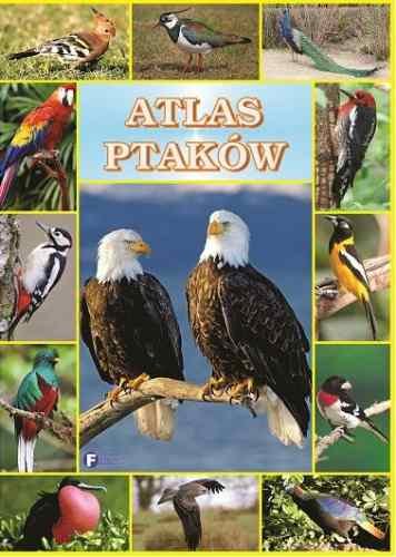 Atlas ptaków Opracowanie zbiorowe