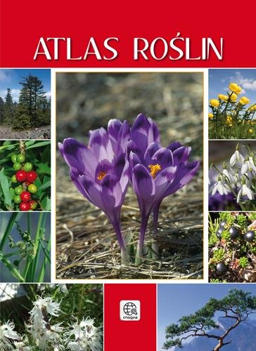 Atlas roślin Opracowanie zbiorowe