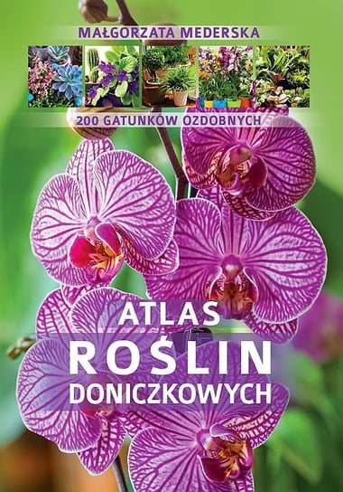 Atlas roślin doniczkowych. 200 gatunków Mederska Małgorzata