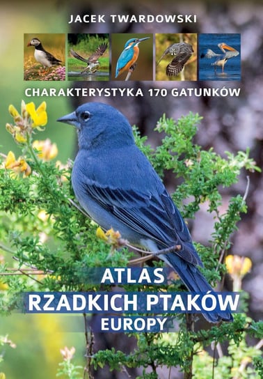 Atlas rzadkich ptaków Europy Twardowski Jacek