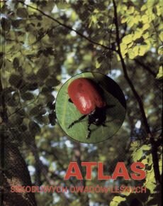 Atlas szkodliwych owadów leśnych Kolk Andrzej