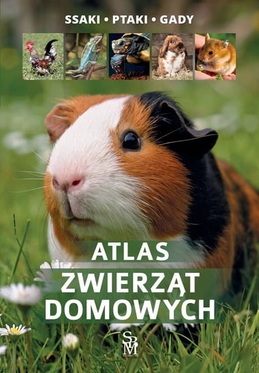 Atlas zwierząt domowych Uglorz Manfred