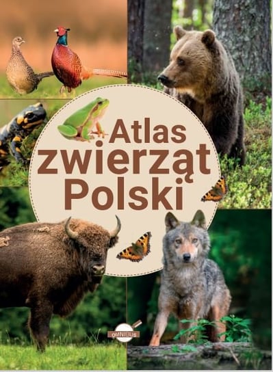 Atlas zwierząt Polski Opracowanie zbiorowe