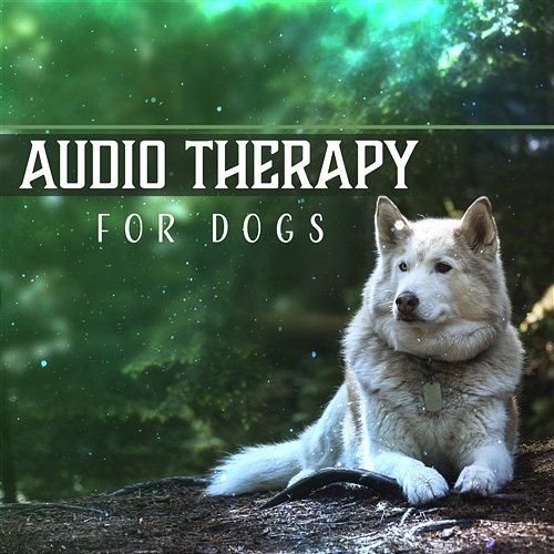 Audio Therapy for Dogs: Canine Lullabies, Soothing Sounds to Calm Your Pet, Inner Harmony, Aid for Best Friend, Comfort & Stress Relief Pet Relax Academy