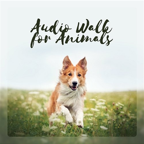 Audio Walk for Animals – Learn Your Puppy Relax, Embrace Dog, Pet Behaviourist, Soothing Therapy for Kitty Pet Relax Academy