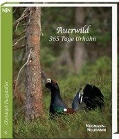 Auerwild - 365 Tage Urhahn Burgstaller Christoph