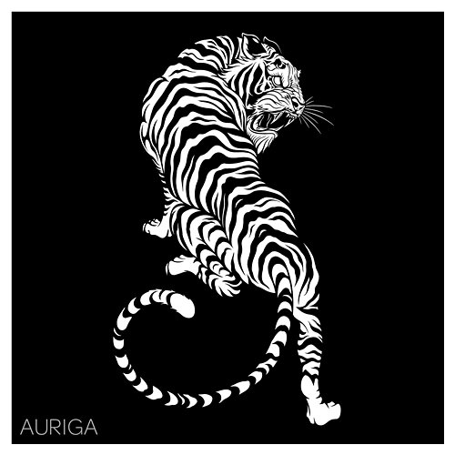 Auriga Partake