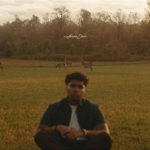 Aurora Drive Eli Wilson
