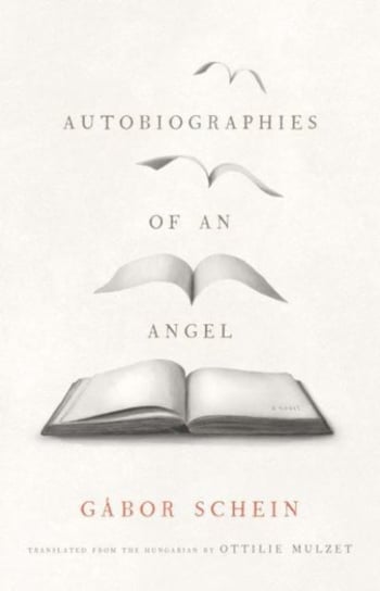 Autobiographies of an Angel: A Novel Gabor Schein