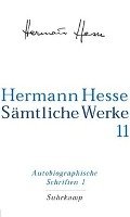 Autobiographische Schriften: Wanderung, Kurgast, Die Nürnberger Reise, Tagebücher Hesse Hermann
