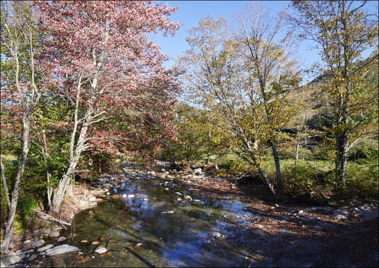 Autumn along the Robbins Branch creek, a tributary of the White River near Ripton, Vermont., Carol Highsmith - plakat 29,7x21 cm Galeria Plakatu