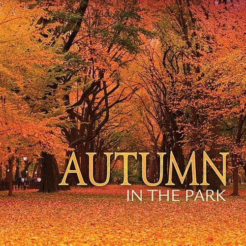 Autumn In The Park Various Artists