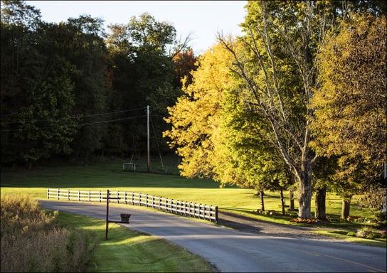 Autumn is upon you in rural Knox County, Ohio, near Danville, Carol Highsmith - plakat 100x70 cm Galeria Plakatu