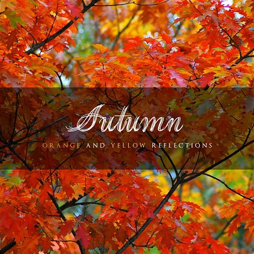 Autumn: Orange and Yellow Reflections Various Artists