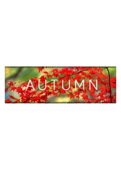 Autumn (PC/MAC/LX) Immanitas