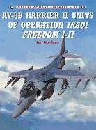 AV-8B Harrier II Units of Operation Iraqi Freedom I-VI Nordeen Lon O., Nordeen Lon