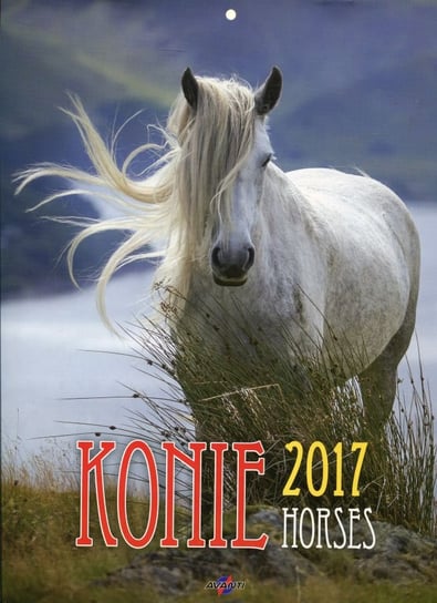 Avanti, kalendarz ścienny 2017, Konie avanti