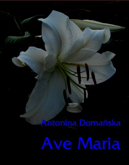 Ave Maria Domańska Antonina